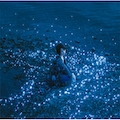 藍井エイル